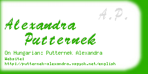 alexandra putternek business card